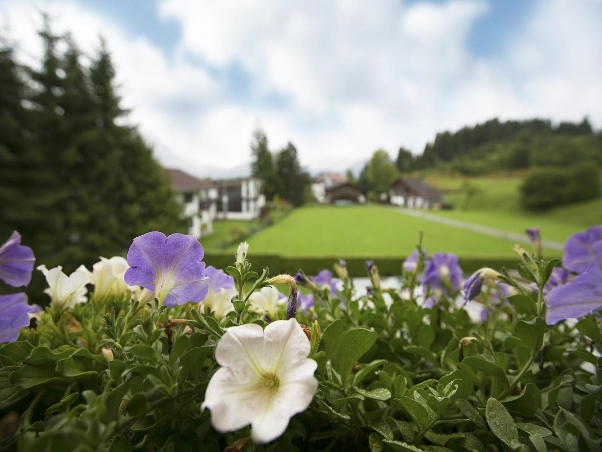 Apartment In W Ngle Tyrol With Walking Trails Near Reuthe Buitenkant foto