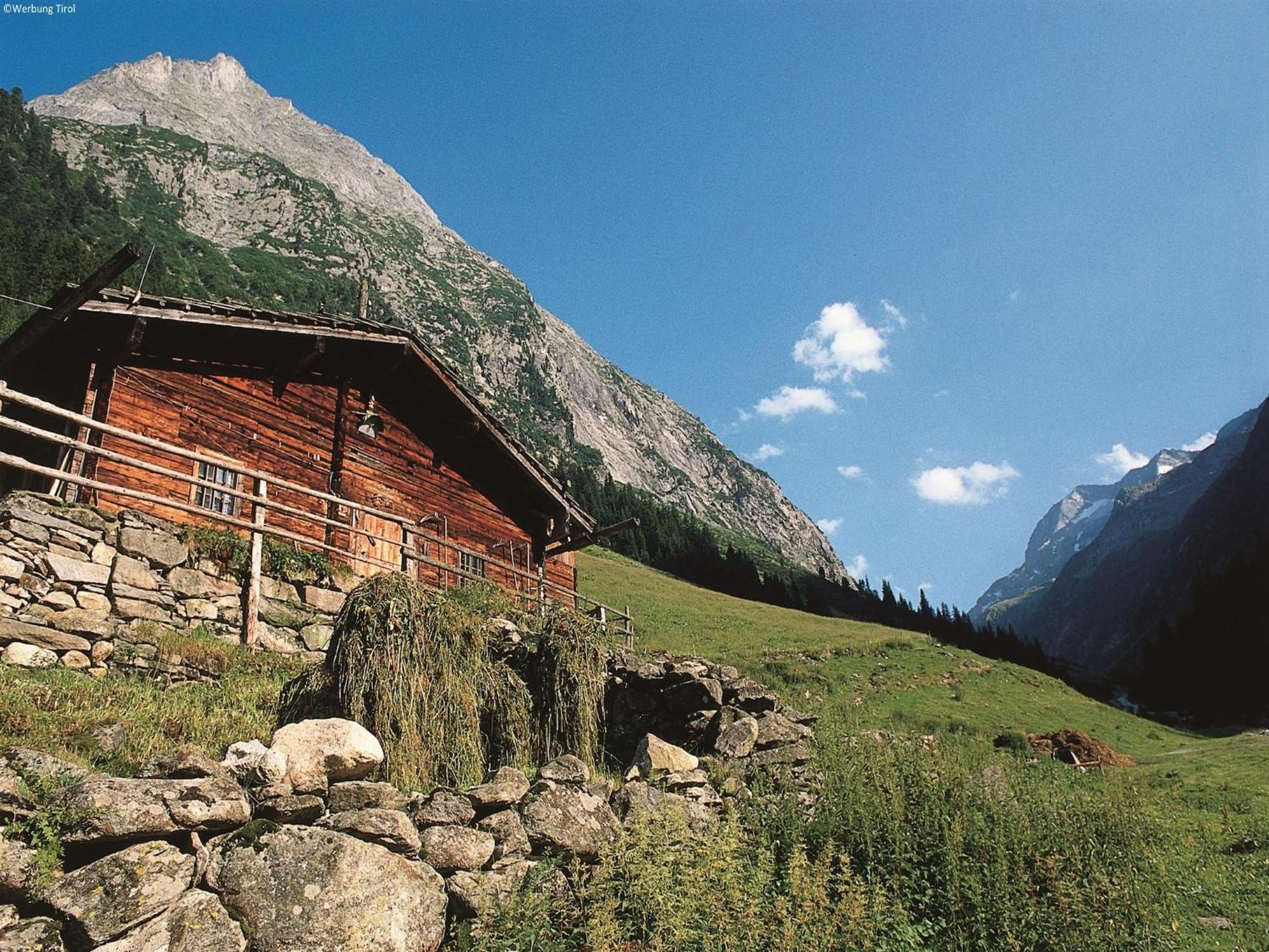 Apartment In W Ngle Tyrol With Walking Trails Near Reuthe Buitenkant foto