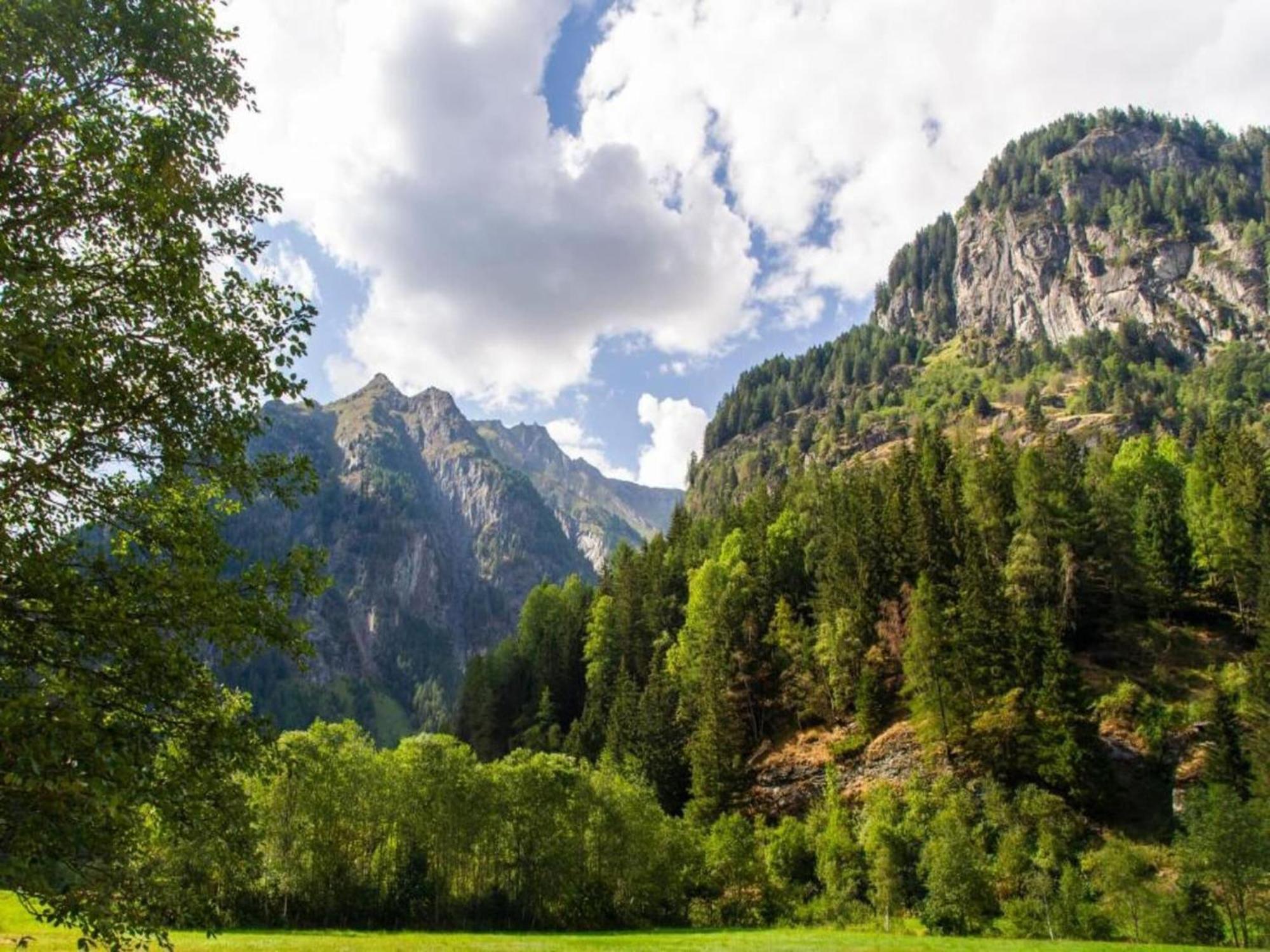 Apartment In W Ngle Tyrol With Walking Trails Near Reuthe Buitenkant foto